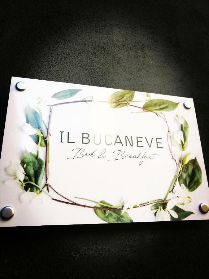 "B&B Il Bucaneve" 都灵 外观 照片